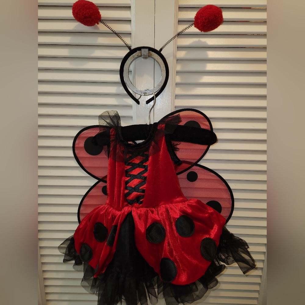 Toddler girls lady bug costume size 2T
